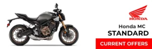 Read more about the article Standard Motorcycle