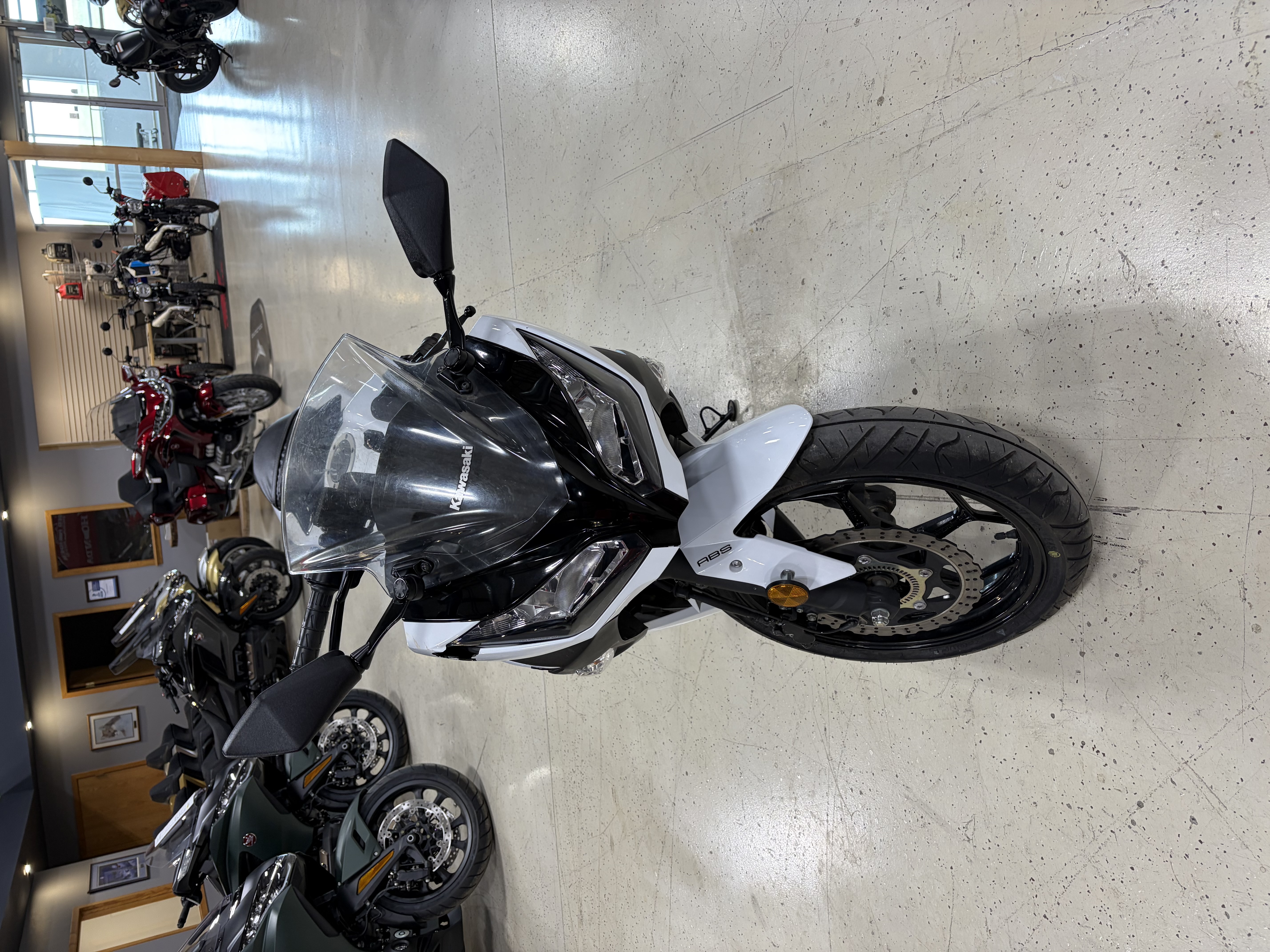 2017 Kawasaki Ninja 300 Motorcycle