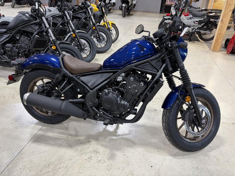 2026 Honda® Rebel 500 Se Motorcycle / Scooter